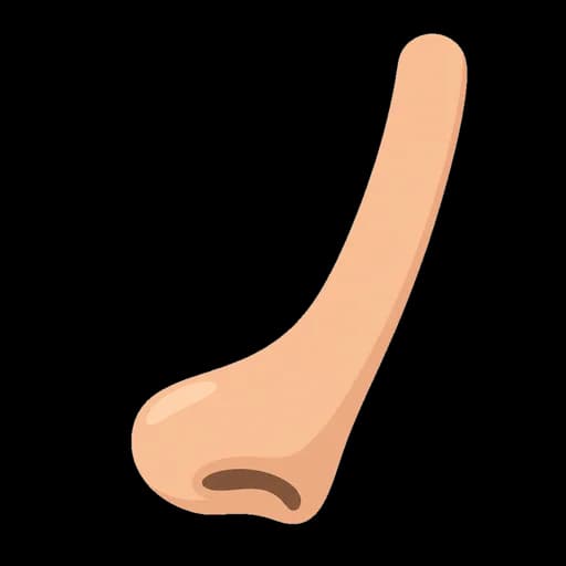 Katakana letter ノ drawn as a nose