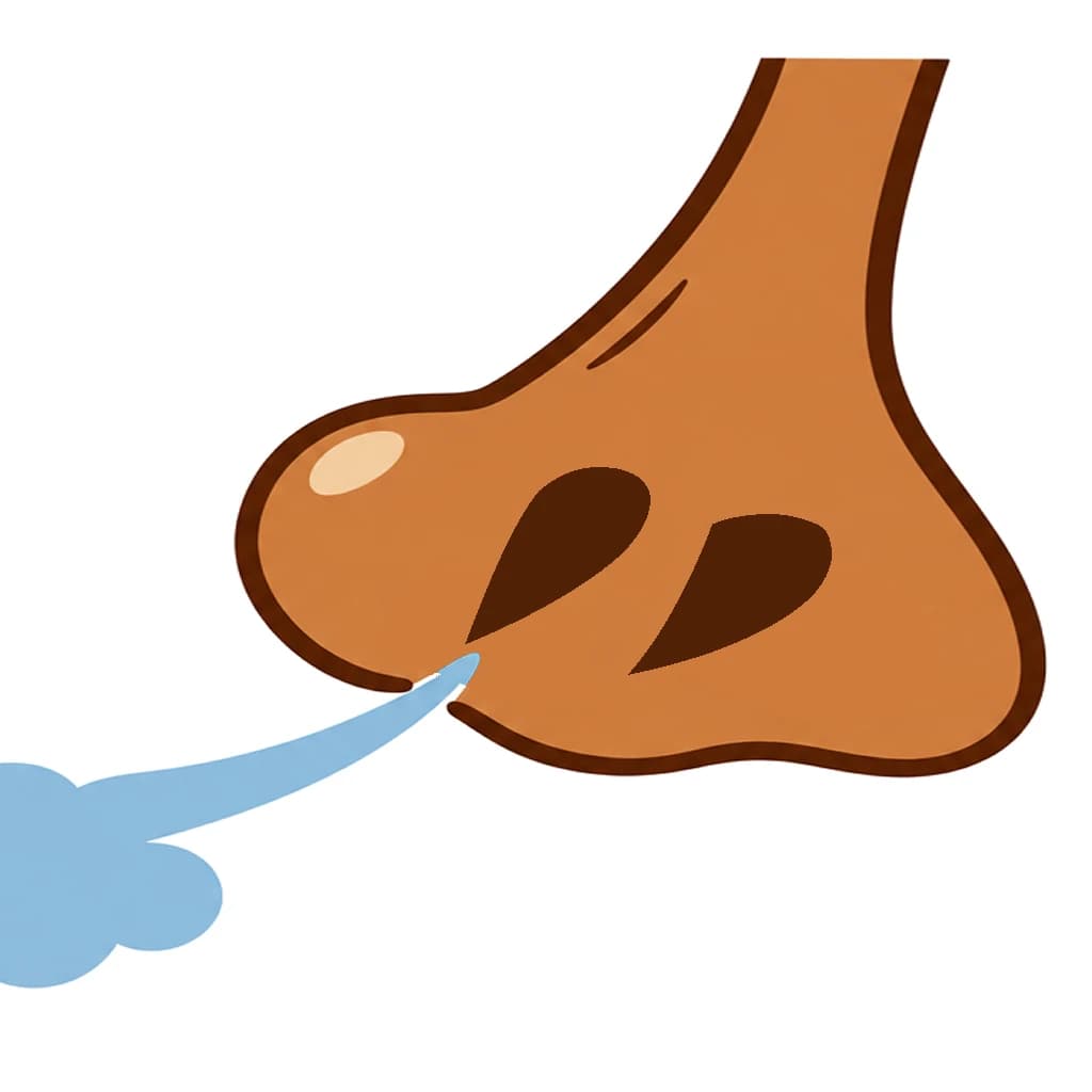Urdu Alphabet letter ھ drawn as a nose