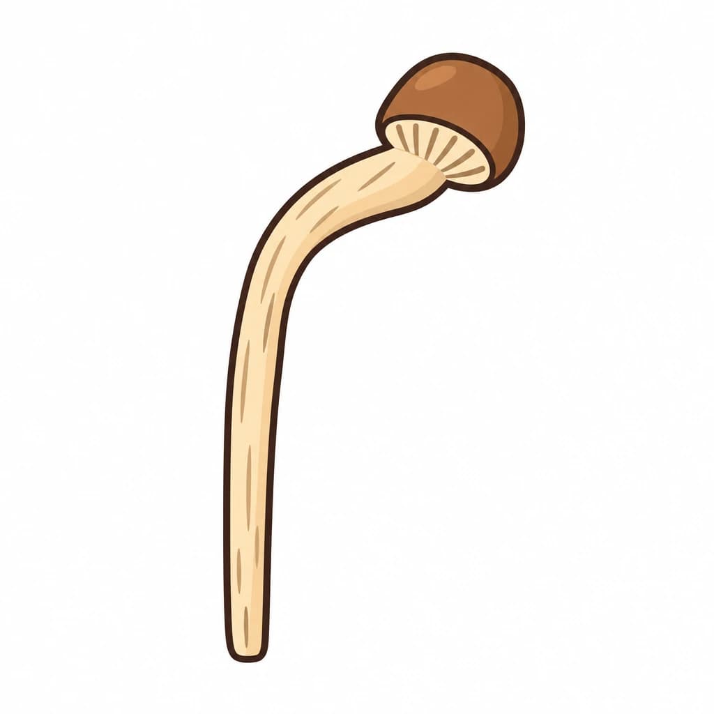 Urdu Alphabet letter م drawn as a mushroom